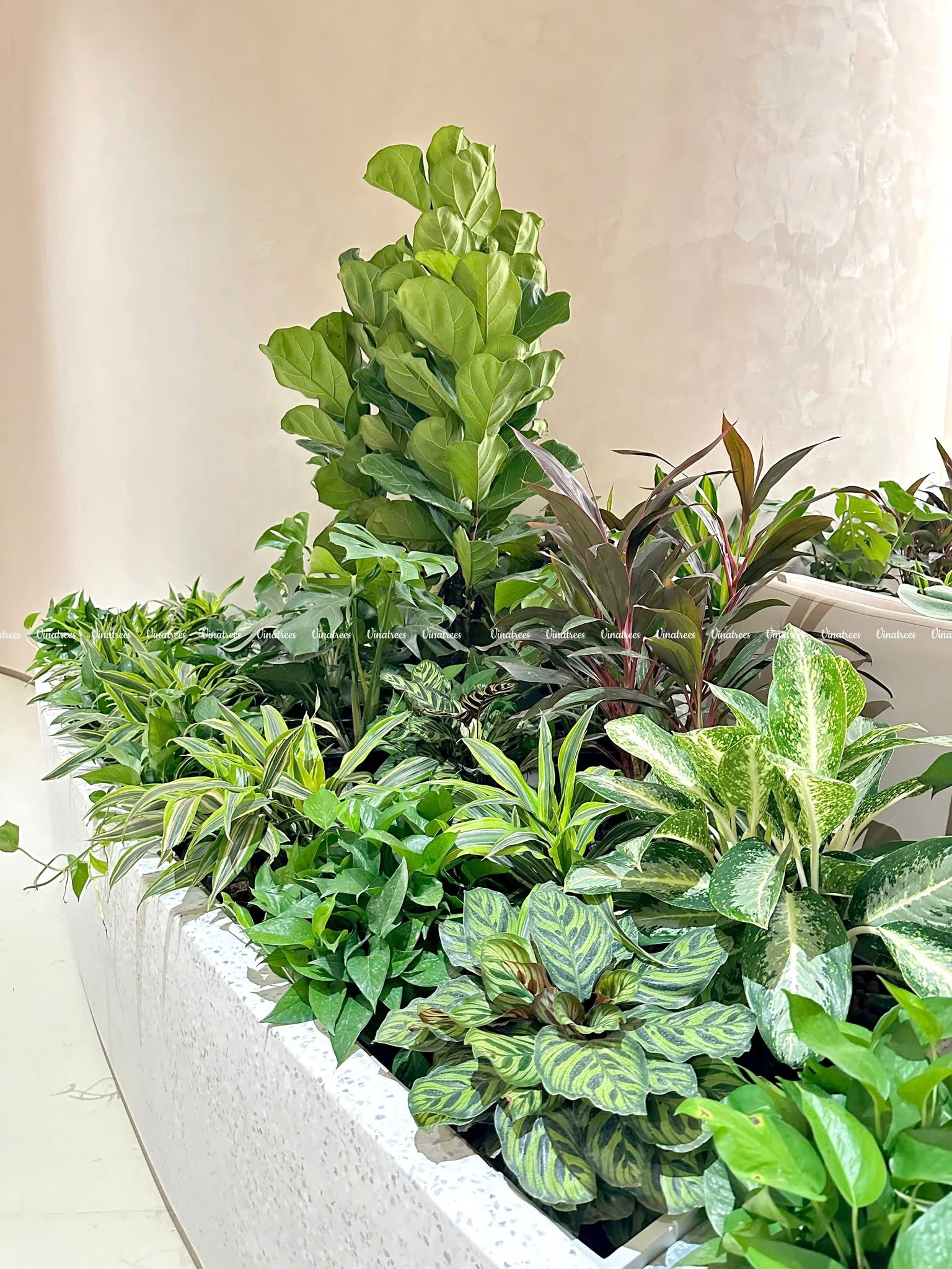 Dự án MSB minh chứng cho vị thế và năng lực thi công hàng đầu của Vinatrees